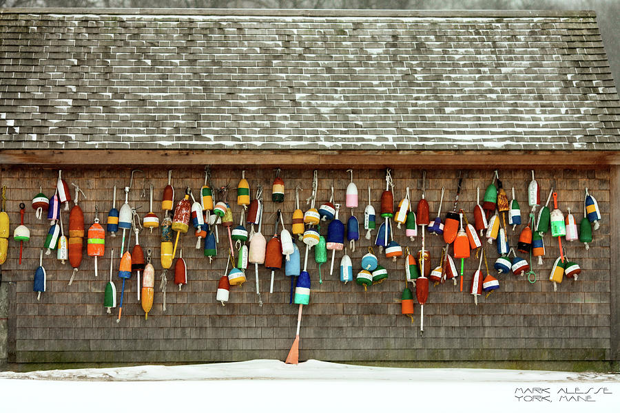 Buoys Photograph by Mark Alesse