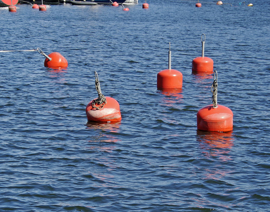 Buoys Photograph By Pat Turner | Fine Art America