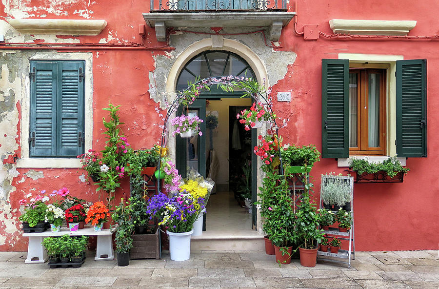 Burano Flower Shop Photograph by Dave Mills