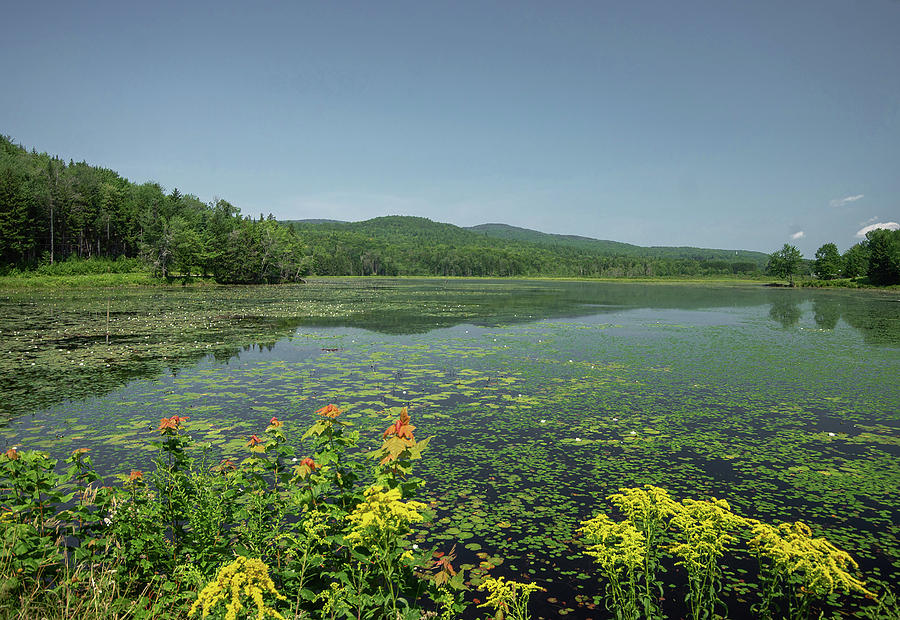 Summer Time Photograph - Burbee  Pond by Jim LaMorder