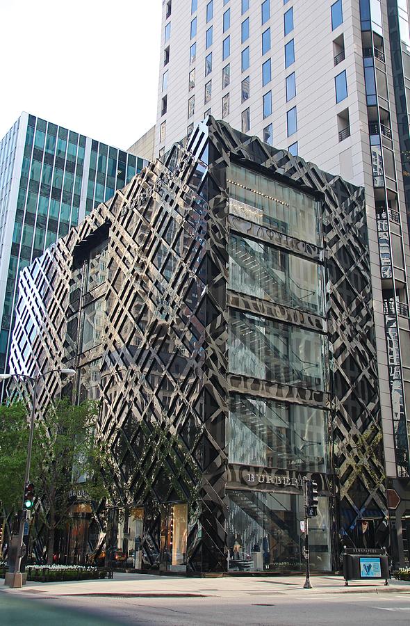 A Building in Chicago Photograph by Michiale Schneider