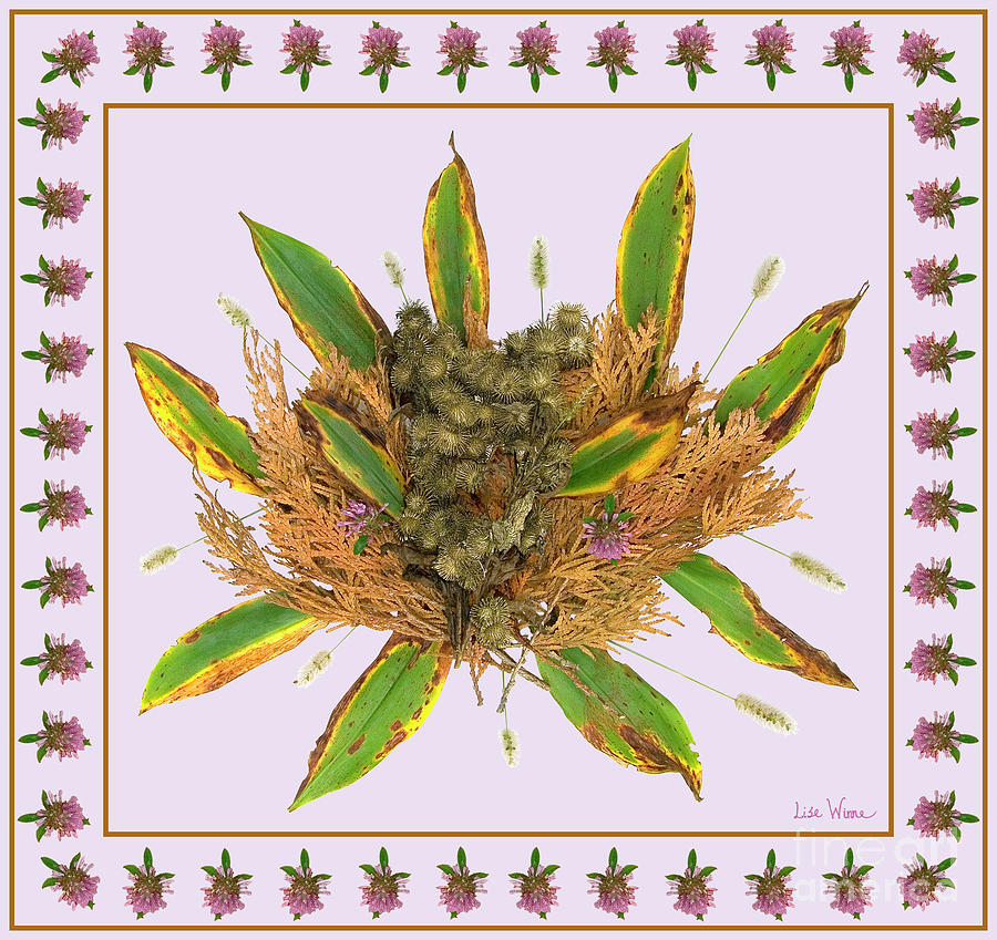 Burdocks with grass seed, Lilly of the Valley leaves, dried up cedar and clovers Digital Art by Lise Winne