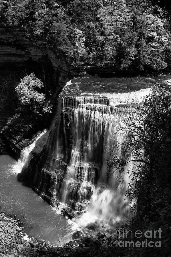 Burgess Lower Falls 2 Photograph by Bob Phillips