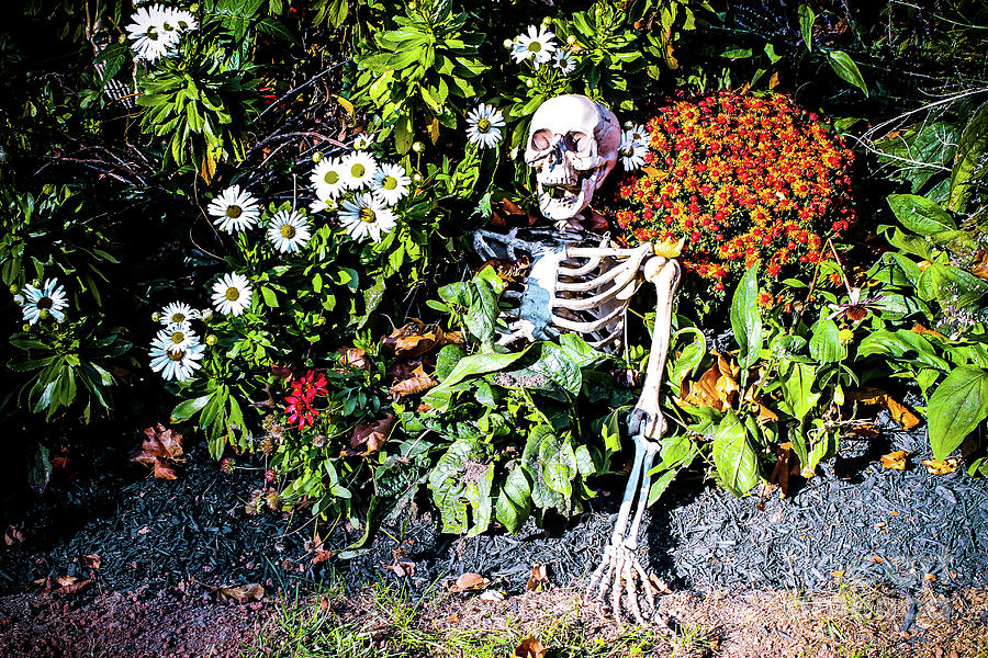 Buried Alive - Skeleton garden Photograph by Colleen Kammerer