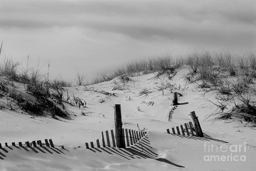 Buried Fences Black and White Coastal Landscape Photo Photograph by PIPA Fine Art - Simply Solid