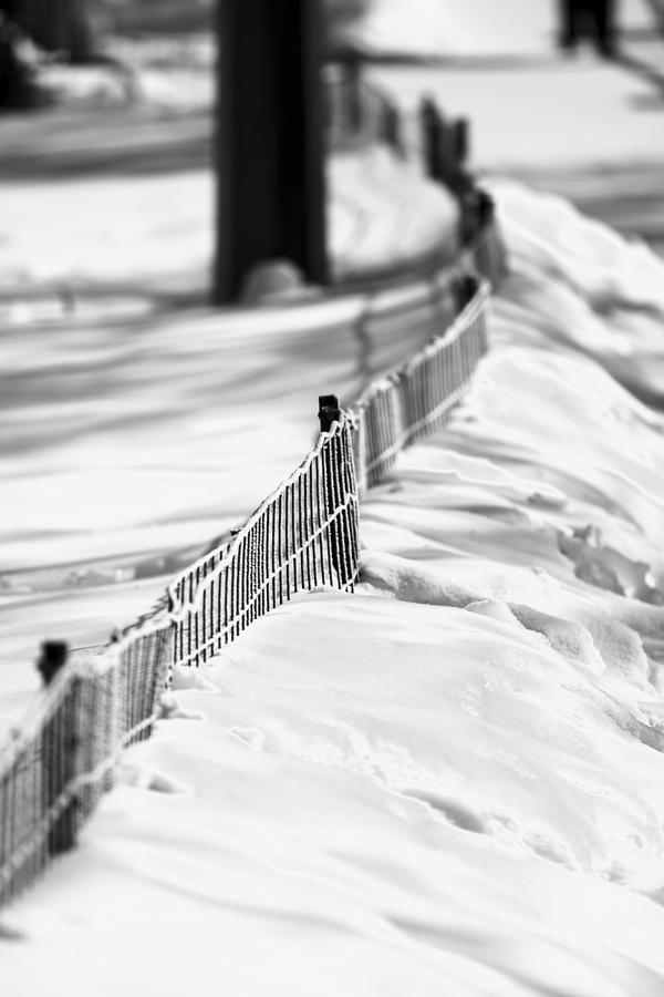 Buried Fence in Black and White Photograph by Tracy Winter