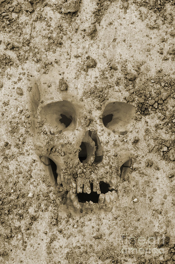 Buried Skull Photograph