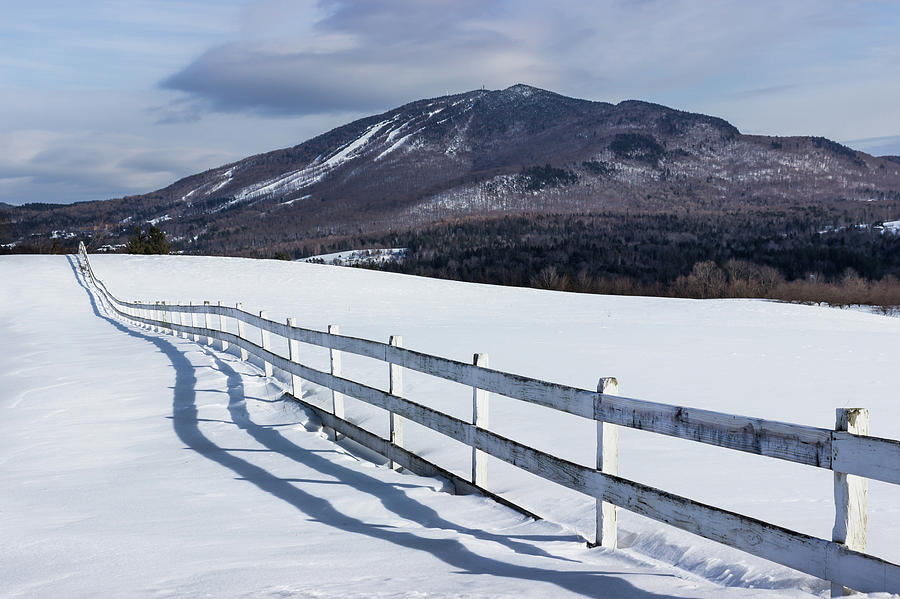 Burke and Fence Mid-Winter Photograph by Tim Kirchoff