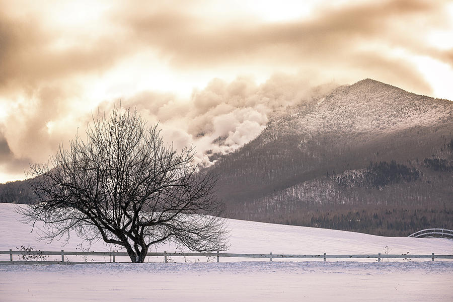 Burke Mountain and Apple Tree Photograph by Tim Kirchoff