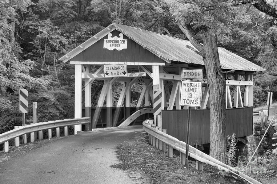 Burkholder Bridge In The Woods Black And White Photograph by Adam Jewell