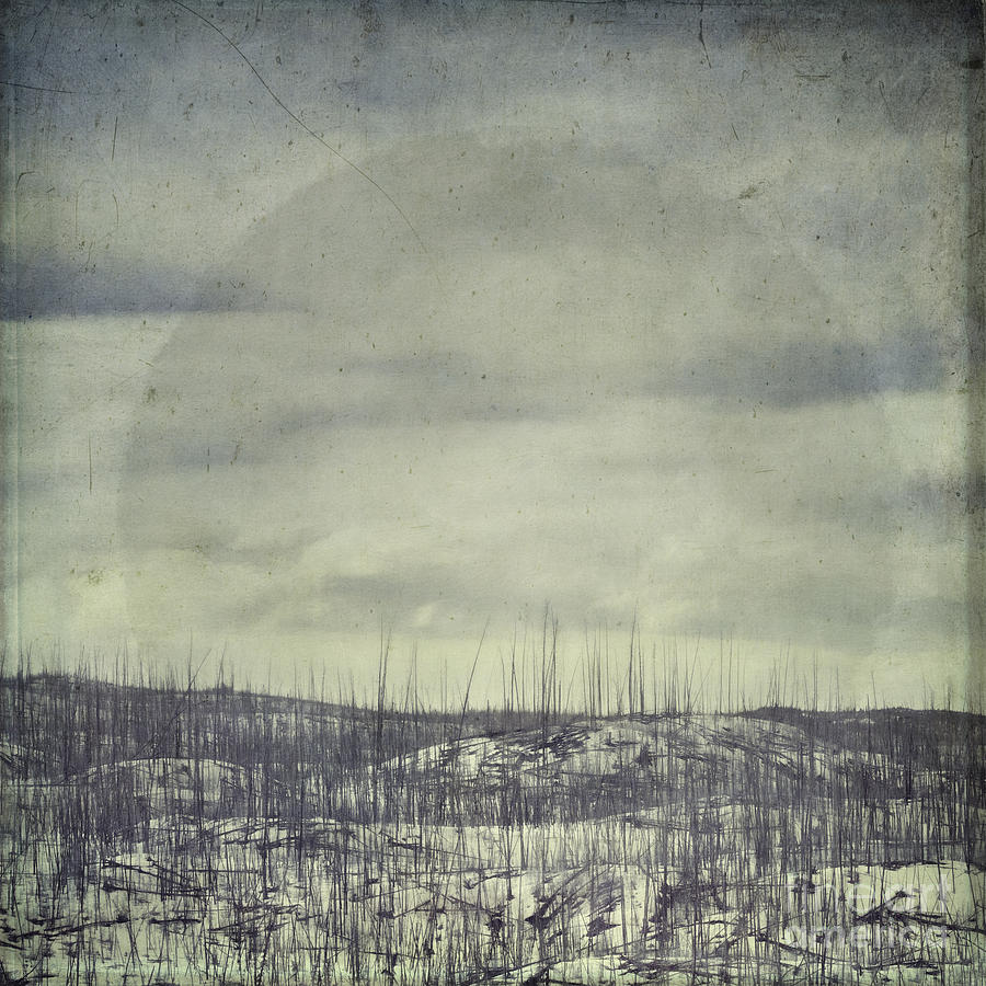 Winter Photograph - Burned Ground by Priska Wettstein