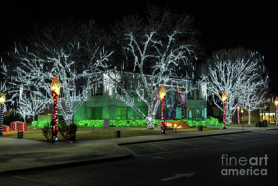 Holiday Lights Photograph by Bee Creek Photography Tod and