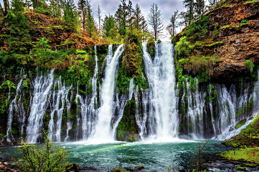 Burney Falls Photograph by Maria Coulson