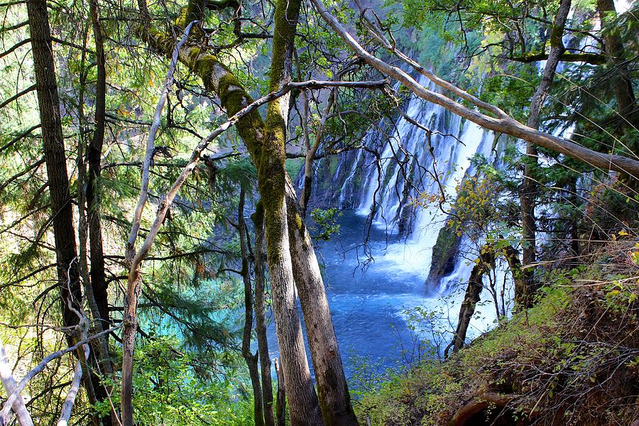 Landscape Photograph - Burney Falls Trailside II by FlyingFish Foto Landscape Photograph - Burney Falls Trailside II by FlyingFish Foto