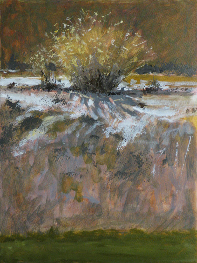 Burning Bush Painting by Robert Bissett