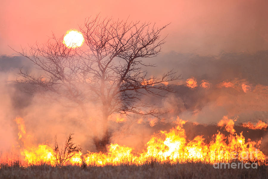 Burning Fields Photograph by Lynn Sprowl