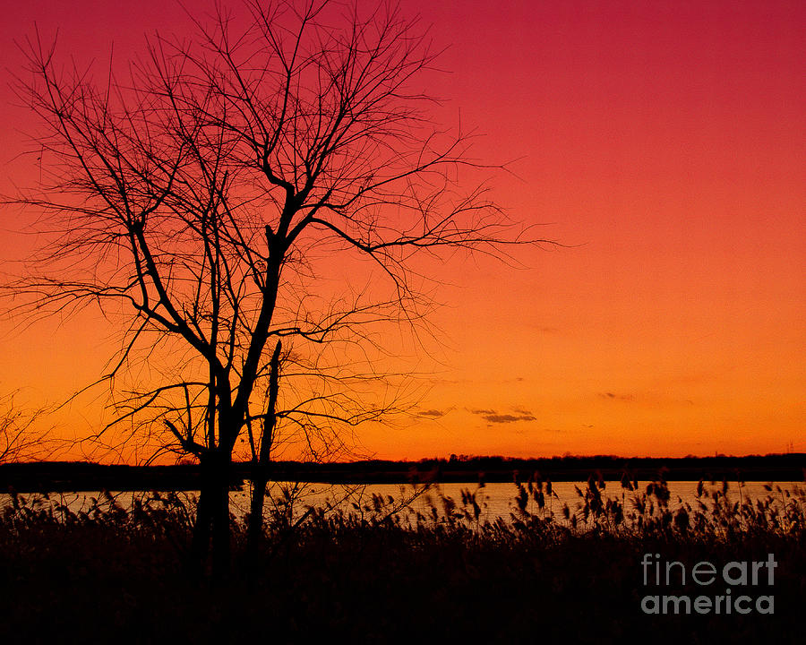 Burning Skies Rural / Rustic Sunset Silhouette Landscape Photo Photograph by PIPA Fine Art - Simply Solid