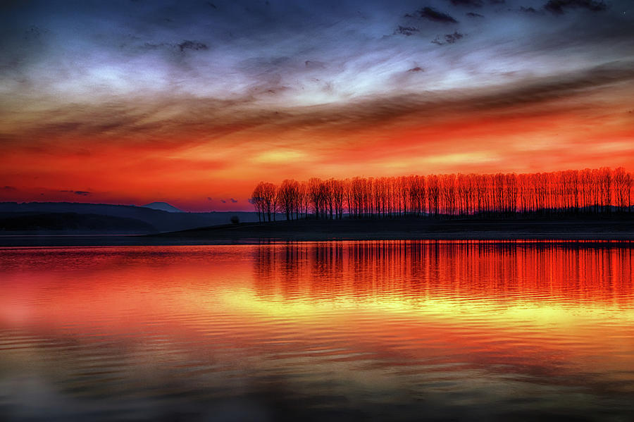 Tree Photograph - Burning Sky by Plamen Petkov