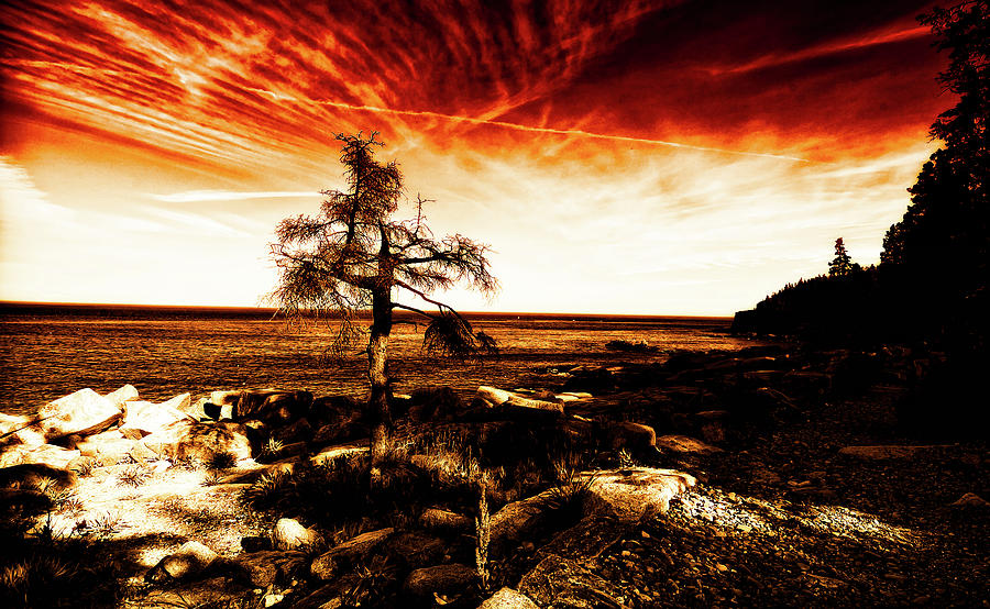 Burning Sky Photograph by Venura Herath