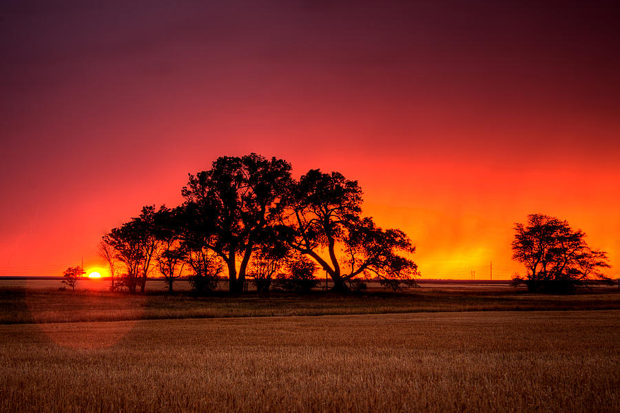 Burning Sunset Photograph by Thomas Zimmerman