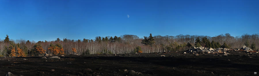 Burnt Blueberry Barren and Moon Photograph by John Meader