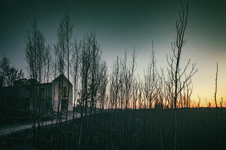Burnt Landscape Photograph by Carlos Caetano