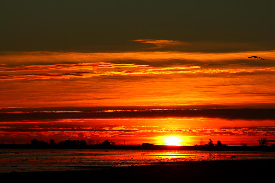 Burnt Orange Sunrise Photograph by Suzanne DeGeorge