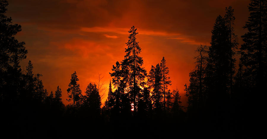 Burnt Orange Sunset Photograph by David Andersen
