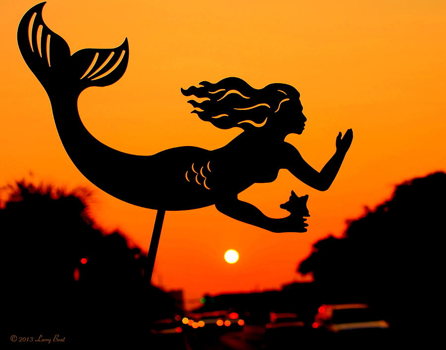 Burnt Umber Mermaid Photograph by Larry Beat