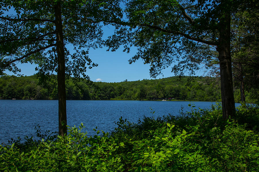 Burr Pond Photograph by Karol Livote - Fine Art America