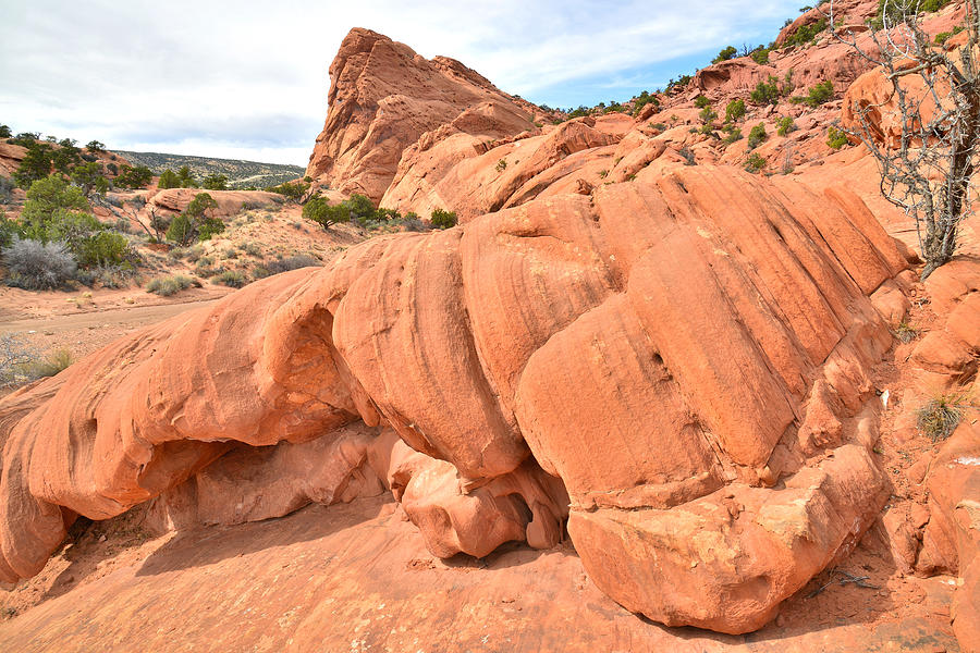Burr Trail Red Rock Photograph by Ray Mathis
