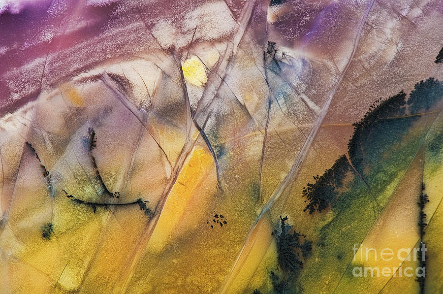Burro Creek Agate abstract RO8759 Photograph by Mark Graf