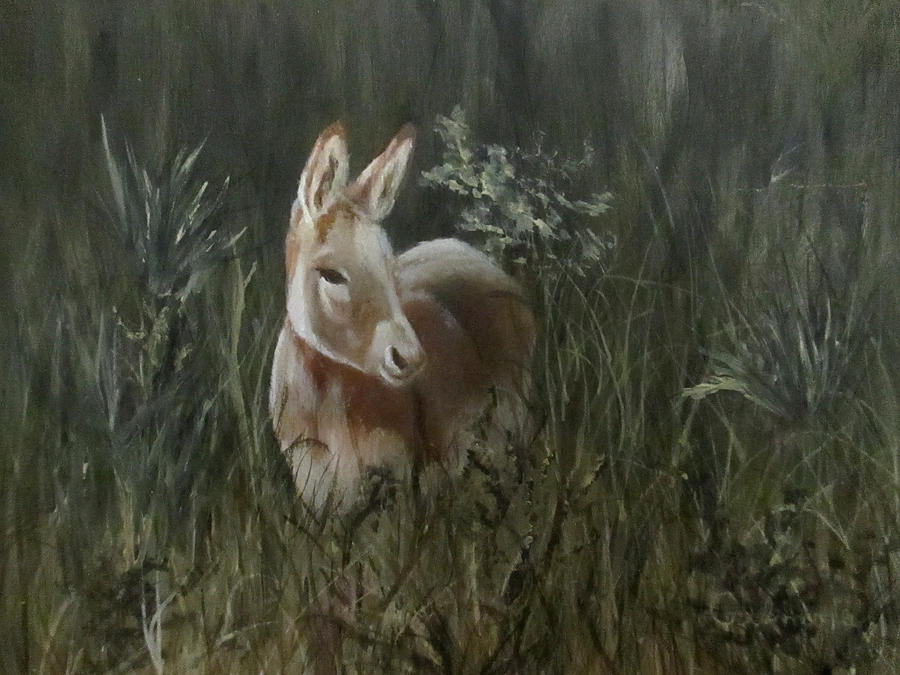 Burro in the Wild Painting by Roseann Gilmore