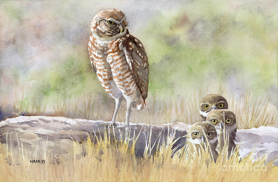 Burrowing Owl Family Painting by Steve Hamlin