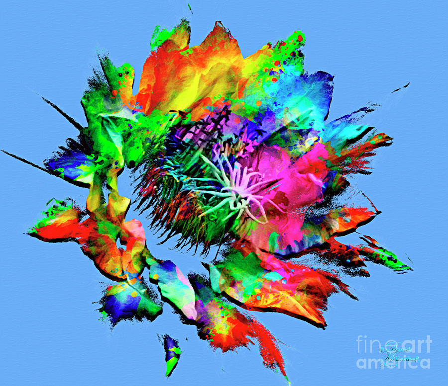 Burst of Color Mixed Media by David Millenheft