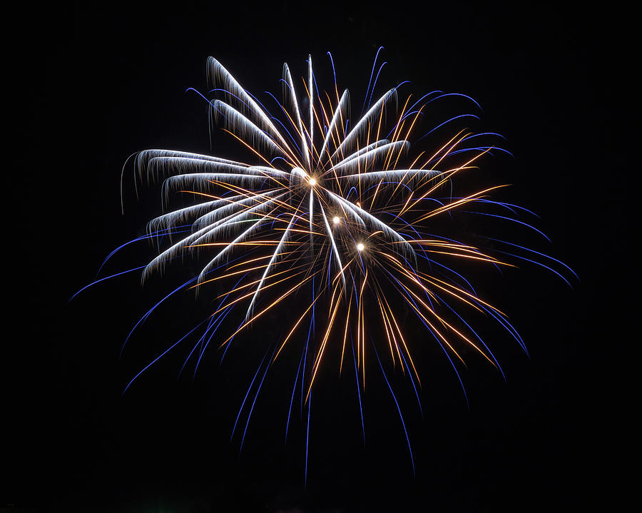Independence Day Photograph - Burst of Elegance by Bill Pevlor