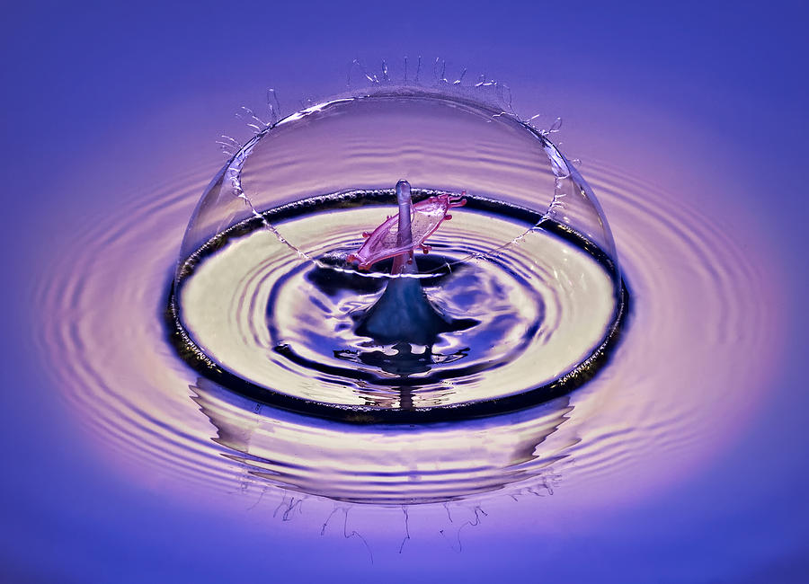 Water Photograph - Bursting my Bubble by Susan Candelario