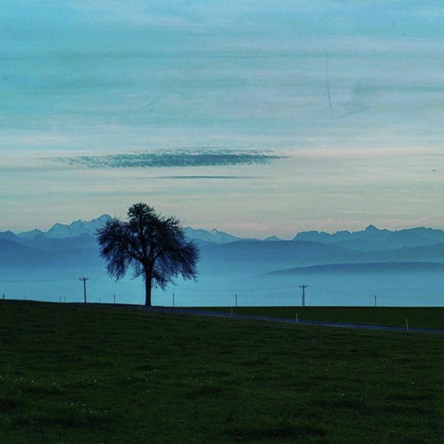 Burtigny, Switzerland Photograph by Aleck Cartwright