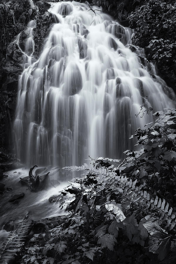 Waterfall Photograph - Burton Falls by Colby Drake