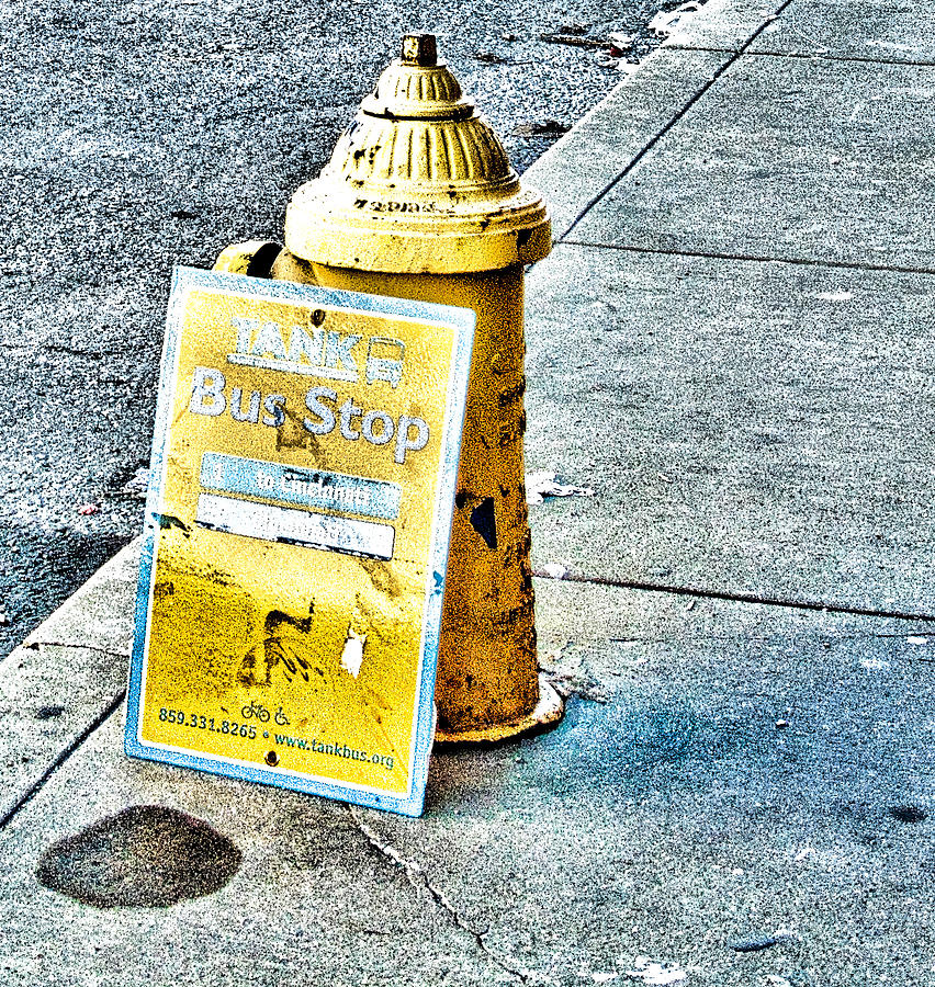 Bus Stop And A Hydrant Photograph