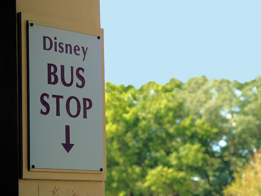 Bus Stop Photograph