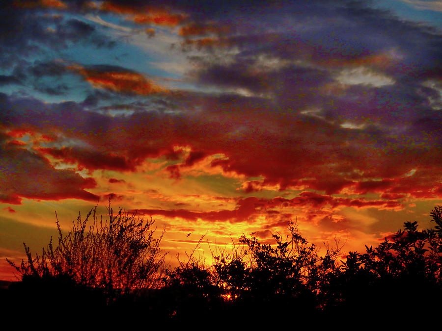 Bush Sunset Photograph by Mark Blauhoefer