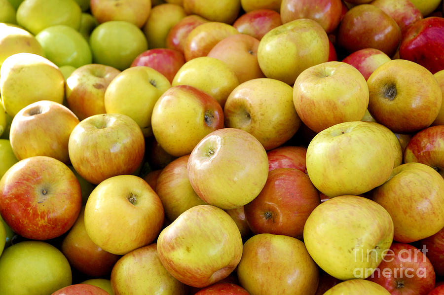 Bushel of apples Photograph by Micah May