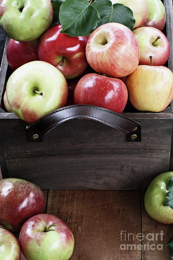 Bushel of Apples  Photograph by Stephanie Frey