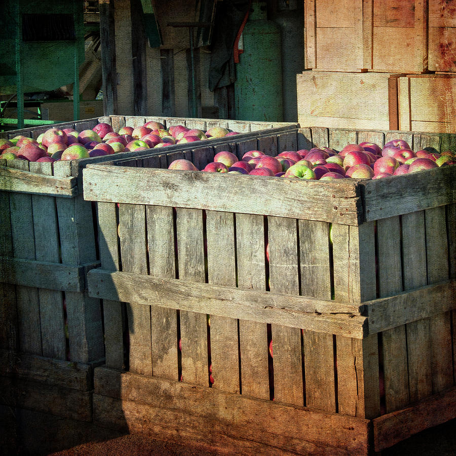 Bushel of Apples - Vintage Art Photograph by Joann Vitali