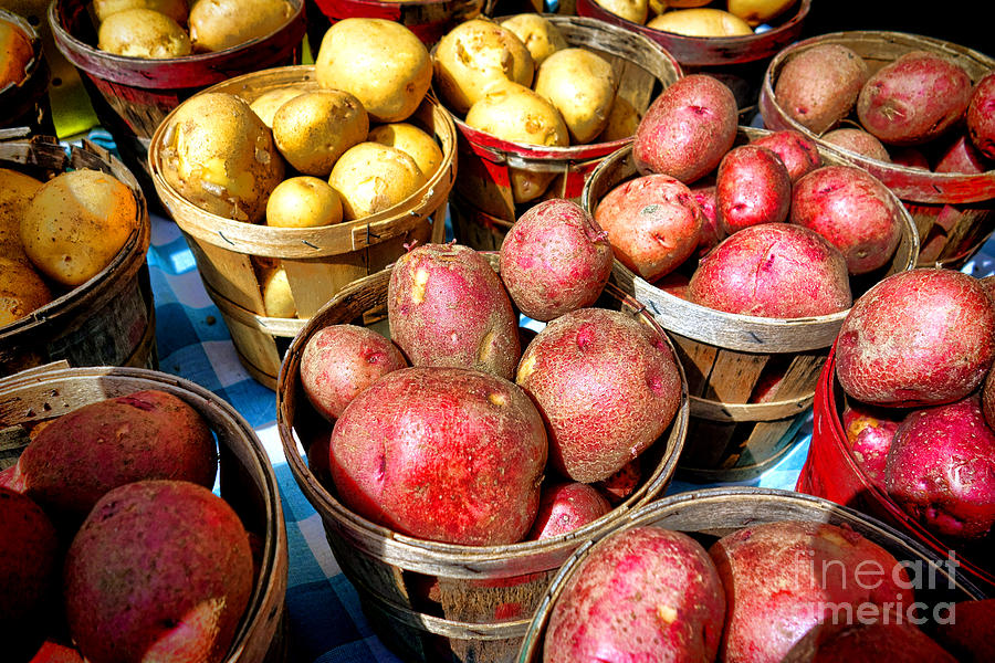 Bushels of Potatoes at a Farm Market Photograph by Olivier Le Queinec