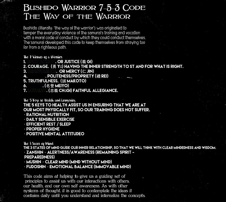 Bushido Warrior 7-5-3 Code 10f Painting