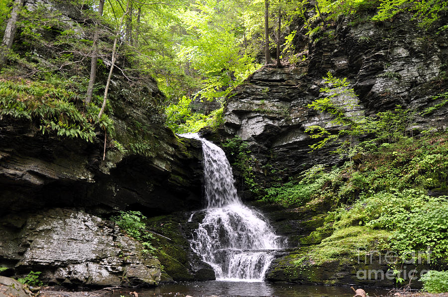 Bushkill Fall - Four Photograph by Andrew Dinh