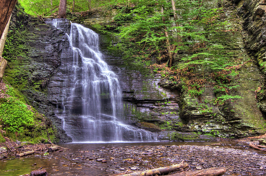 Nature Photograph - Bushkill Falls II by Dave Hahn