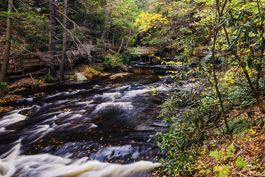 Bushkill Falls State Park Autumn Pennsylvania USA Photograph by Vishwanath Bhat